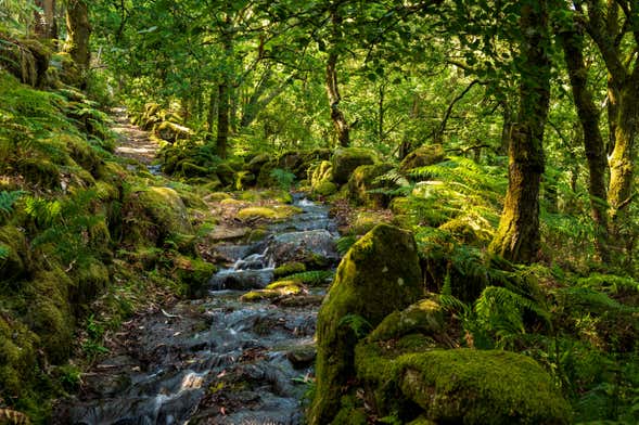 Canyoning no Parque Nacional da Peneda-Gerês