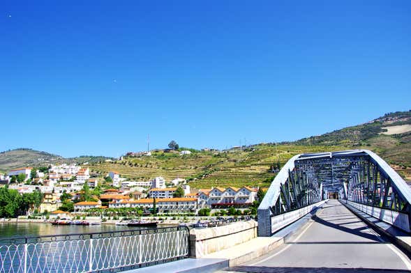 Cruzeiro de 1 dia a Pinhão