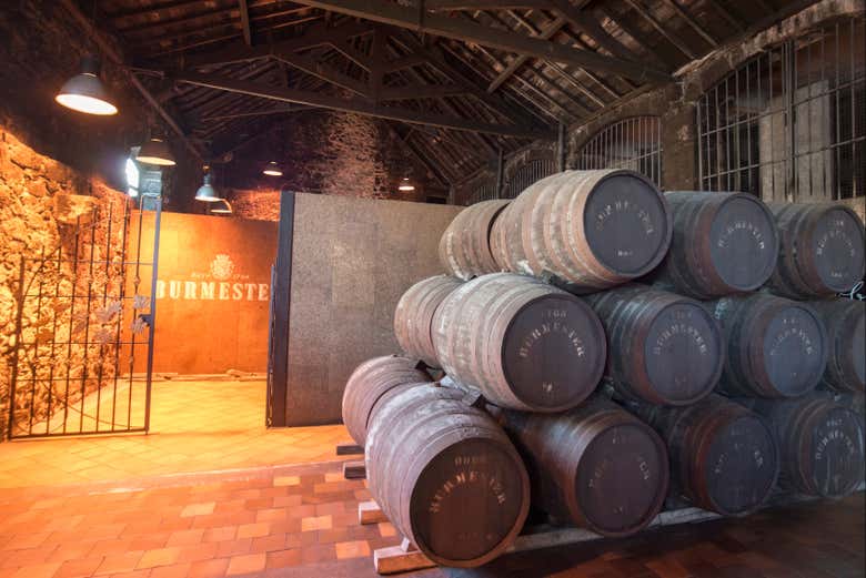 Visitando a adega Burmester