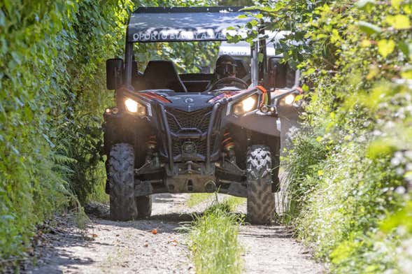 Tour de buggy pelos arredores do Porto