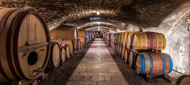 Tour de vinhedos e adegas pelo Vale do Douro