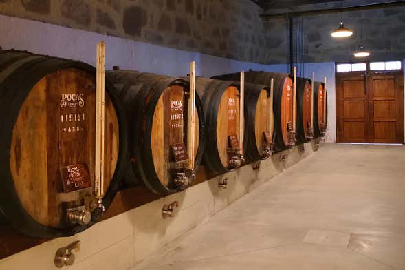 Visita à adega Poças
